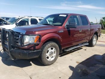  Salvage Ford F-150