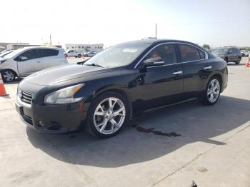  Salvage Nissan Maxima