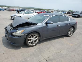  Salvage Nissan Maxima