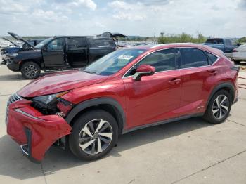  Salvage Lexus NX