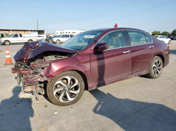  Salvage Honda Accord