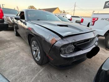  Salvage Dodge Challenger