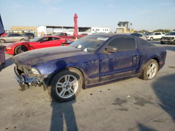  Salvage Ford Mustang