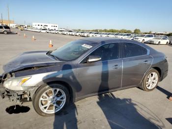  Salvage Nissan Maxima