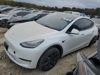  Salvage Tesla Model Y