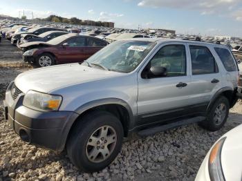  Salvage Ford Escape