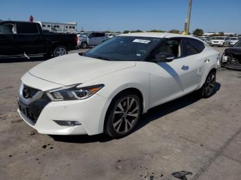  Salvage Nissan Maxima