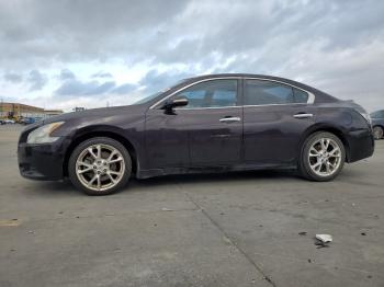  Salvage Nissan Maxima