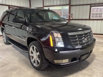  Salvage Cadillac Escalade