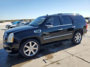  Salvage Cadillac Escalade