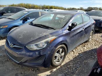  Salvage Hyundai ELANTRA