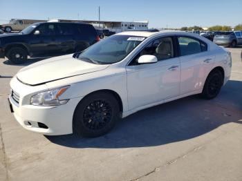  Salvage Nissan Maxima