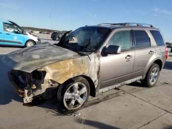  Salvage Ford Escape