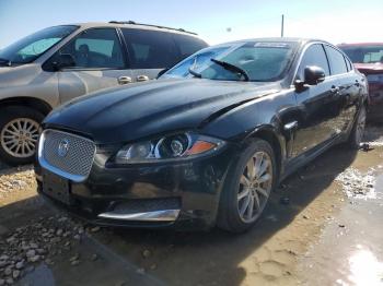  Salvage Jaguar XF