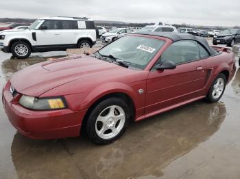  Salvage Ford Mustang