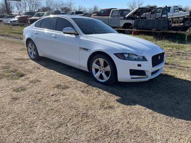  Salvage Jaguar XF