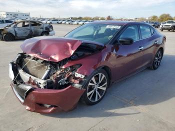  Salvage Nissan Maxima