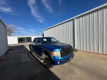  Salvage Ford F-150