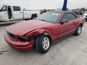  Salvage Ford Mustang