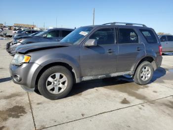  Salvage Ford Escape