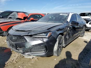  Salvage Acura TLX