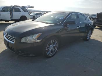  Salvage Nissan Maxima