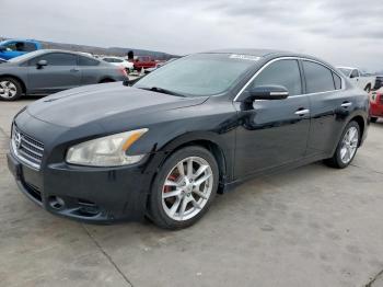  Salvage Nissan Maxima