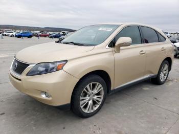  Salvage Lexus RX