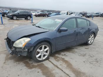  Salvage Nissan Maxima