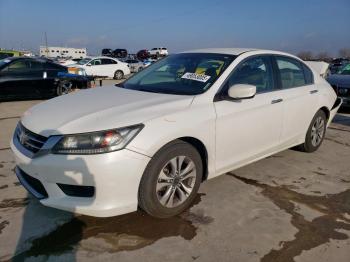  Salvage Honda Accord