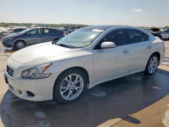  Salvage Nissan Maxima