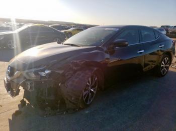  Salvage Nissan Maxima