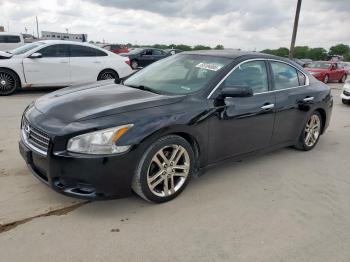  Salvage Nissan Maxima