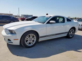  Salvage Ford Mustang