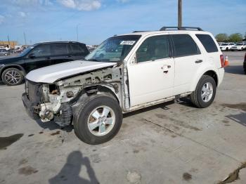  Salvage Ford Escape