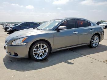  Salvage Nissan Maxima