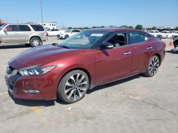  Salvage Nissan Maxima