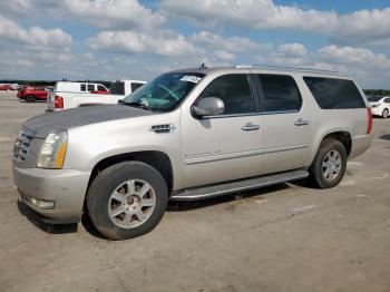  Salvage Cadillac Escalade
