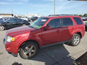  Salvage Ford Escape