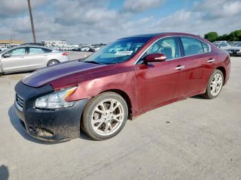  Salvage Nissan Maxima