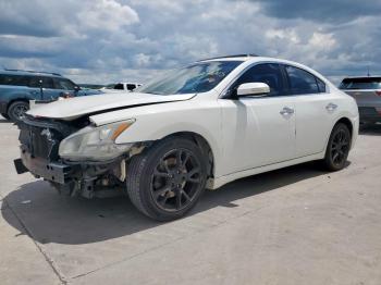  Salvage Nissan Maxima