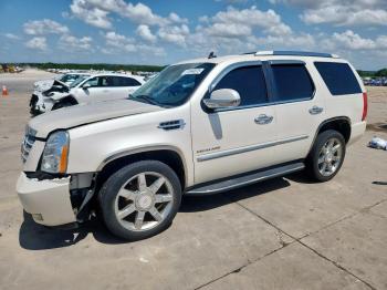  Salvage Cadillac Escalade