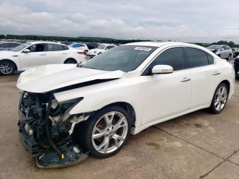 Salvage Nissan Maxima