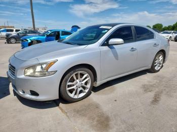  Salvage Nissan Maxima