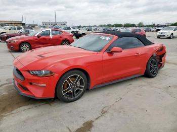  Salvage Ford Mustang