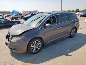  Salvage Hond Odyssey