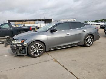  Salvage Nissan Maxima