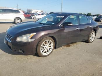  Salvage Nissan Maxima