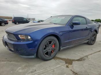  Salvage Ford Mustang