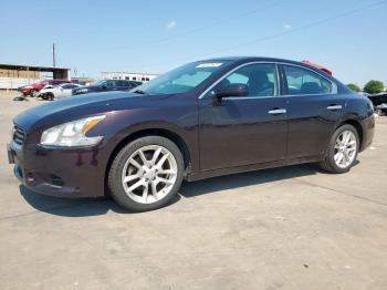  Salvage Nissan Maxima